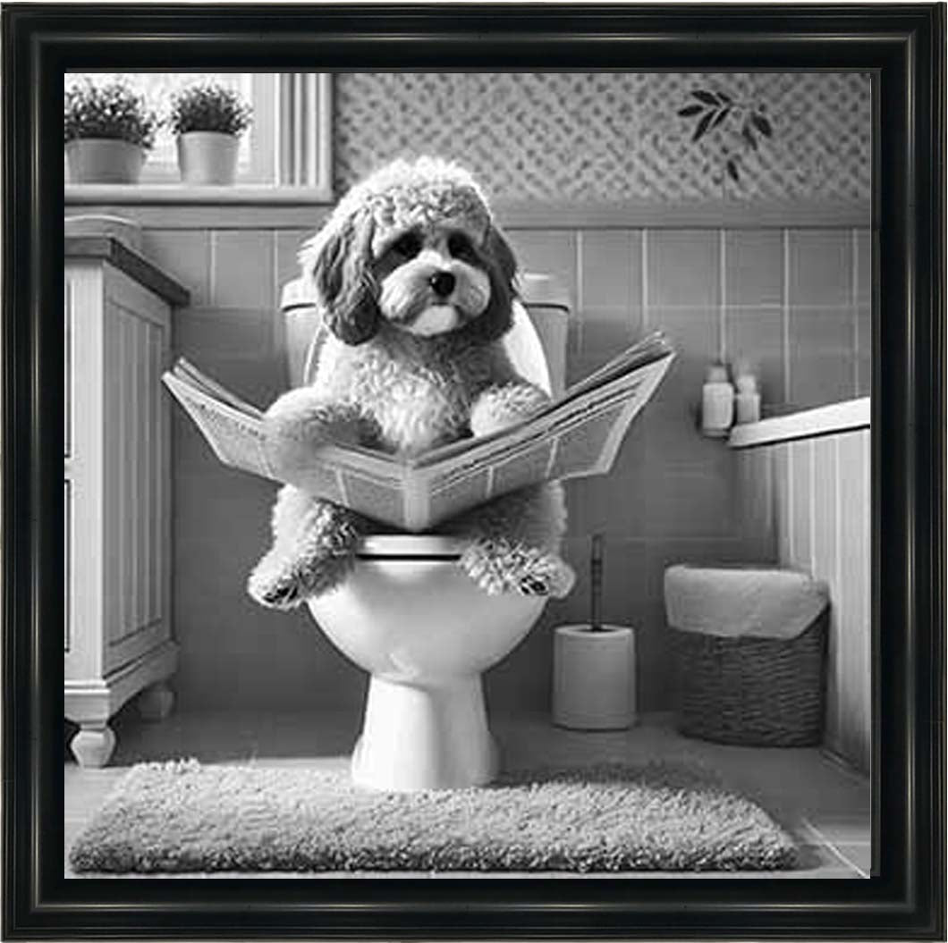 AN2207 COCKAPOO ON THE TOILET