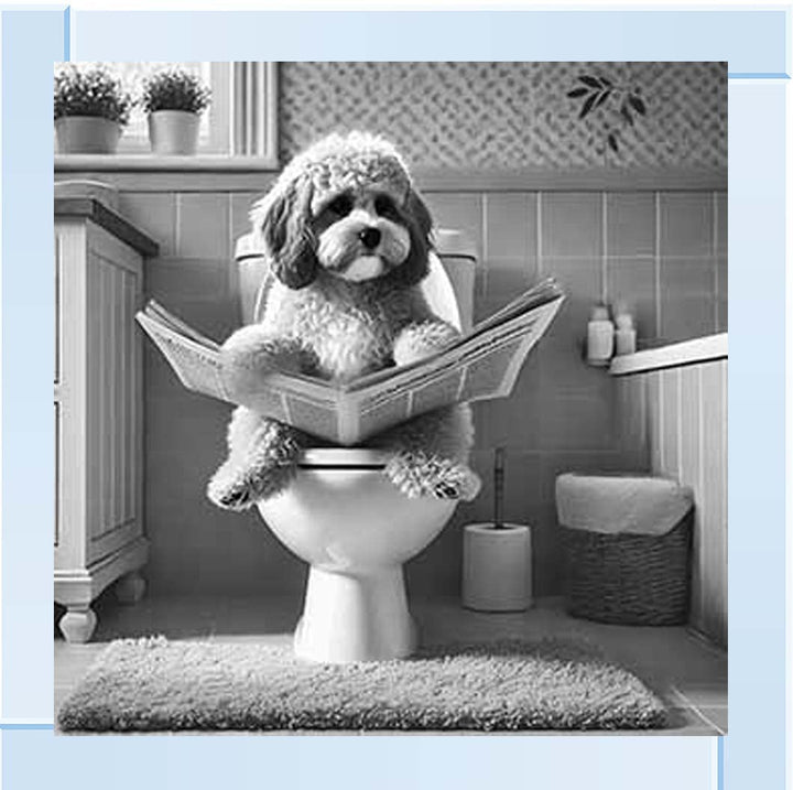 AN2207 COCKAPOO ON THE TOILET