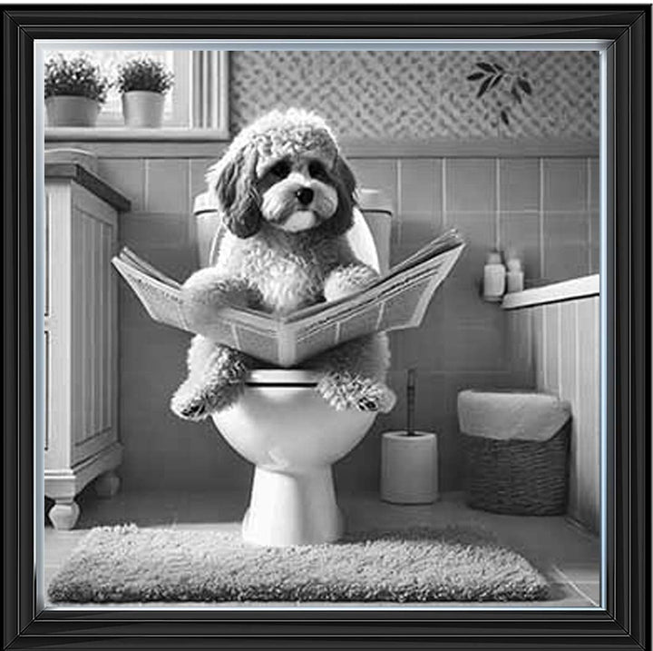 AN2207 COCKAPOO ON THE TOILET