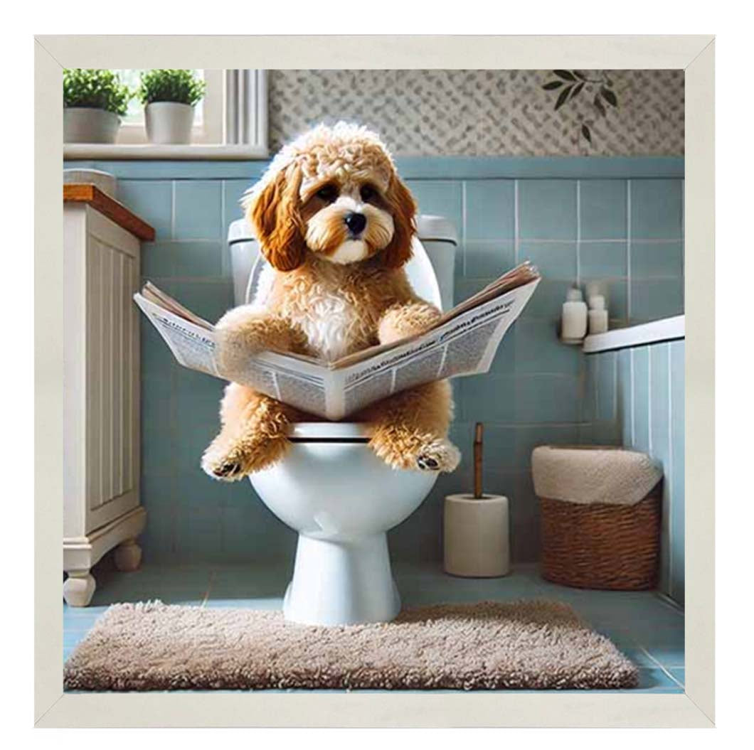 AN2207-C Cockapoo Sitting on Toilet