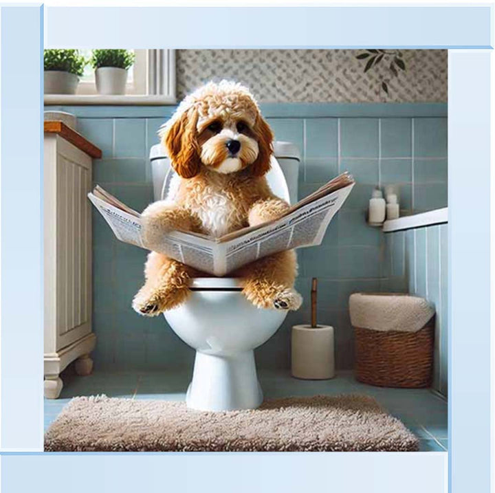 AN2207-C Cockapoo Sitting on Toilet