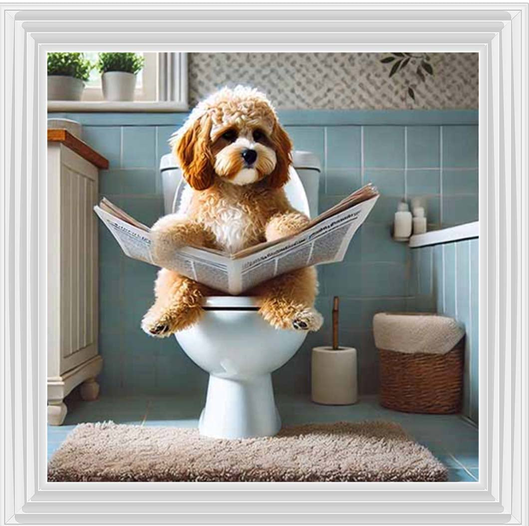 AN2207-C Cockapoo Sitting on Toilet