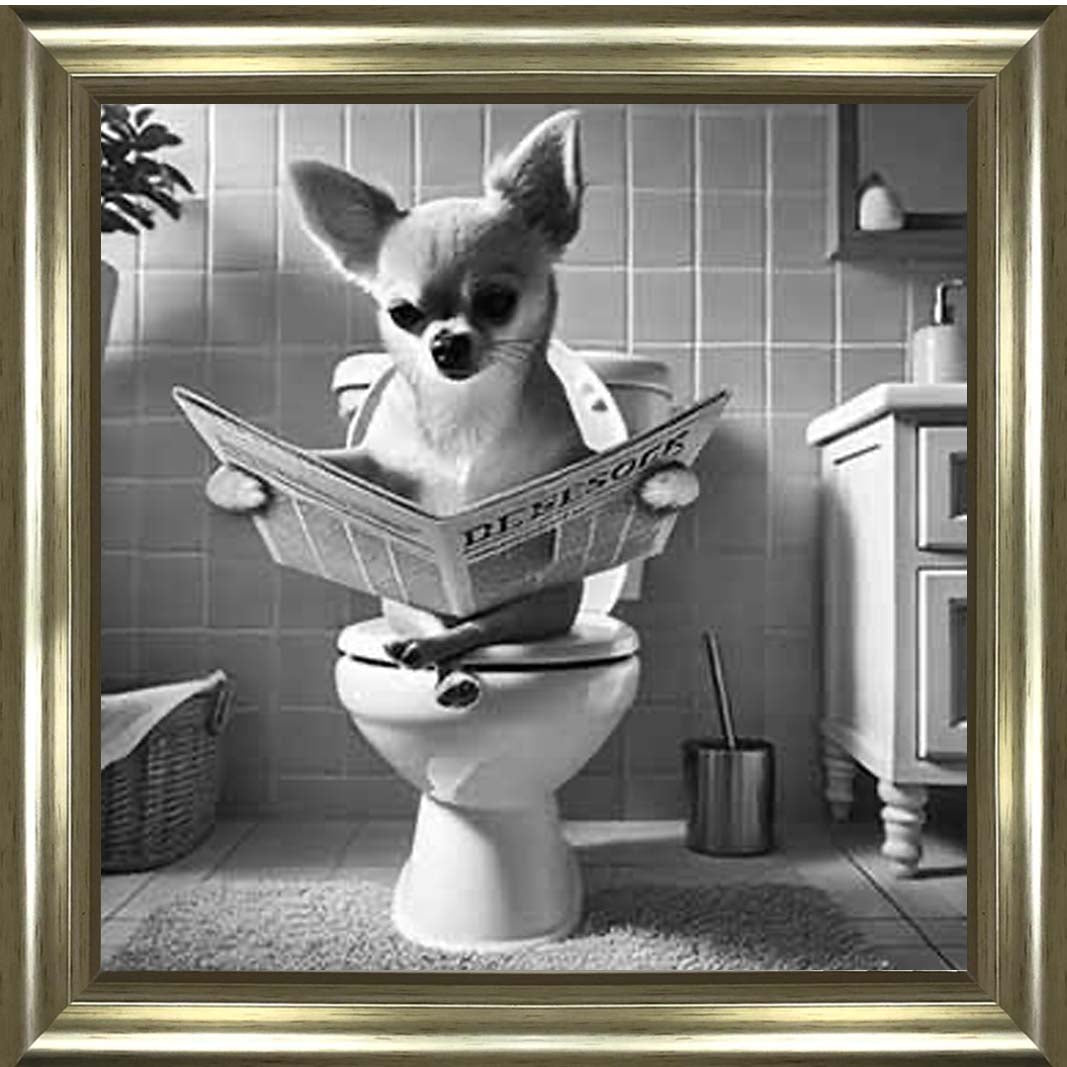 AN2209 CHIHUAHUA ON THE TOILET