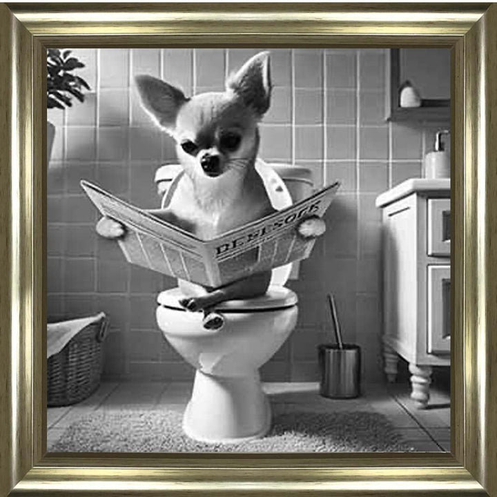 AN2209 CHIHUAHUA ON THE TOILET