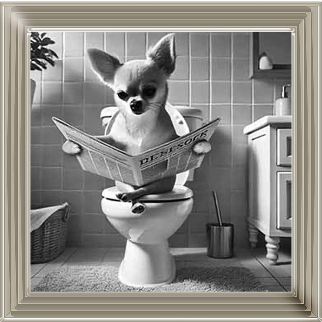 AN2209 CHIHUAHUA ON THE TOILET