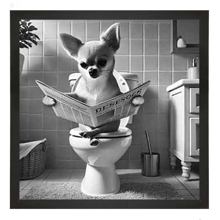 AN2209 CHIHUAHUA ON THE TOILET