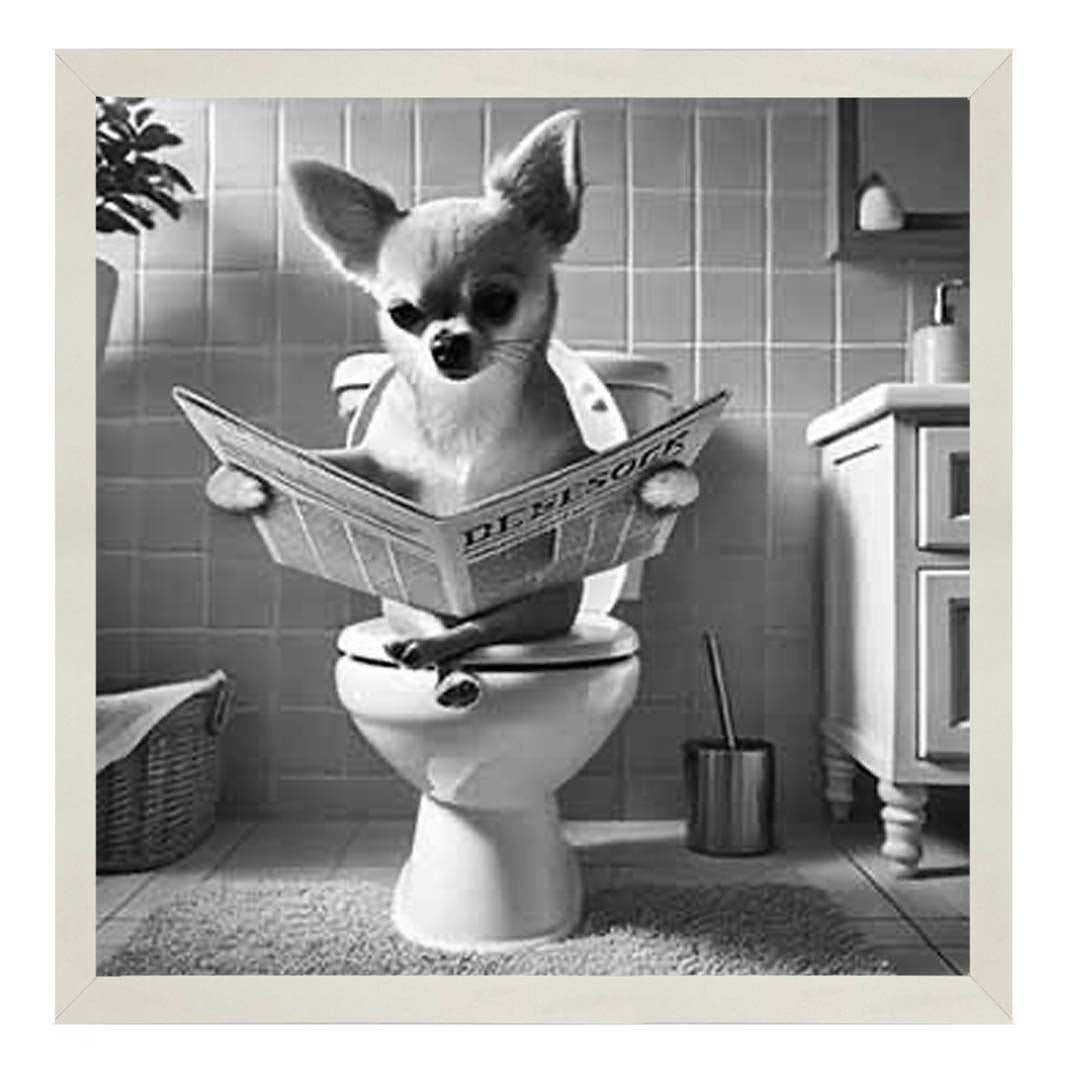 AN2209 CHIHUAHUA ON THE TOILET