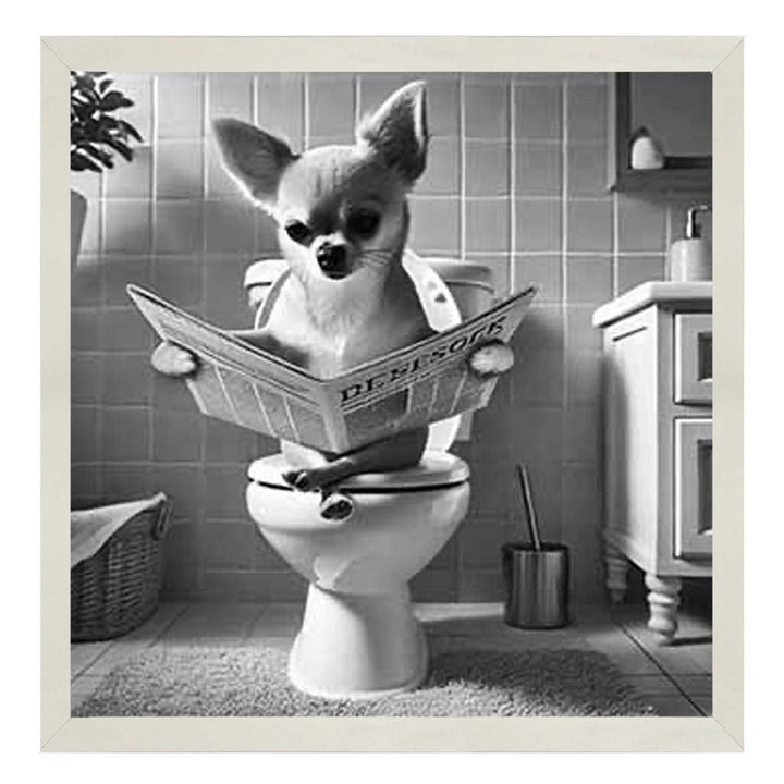 AN2209 CHIHUAHUA ON THE TOILET