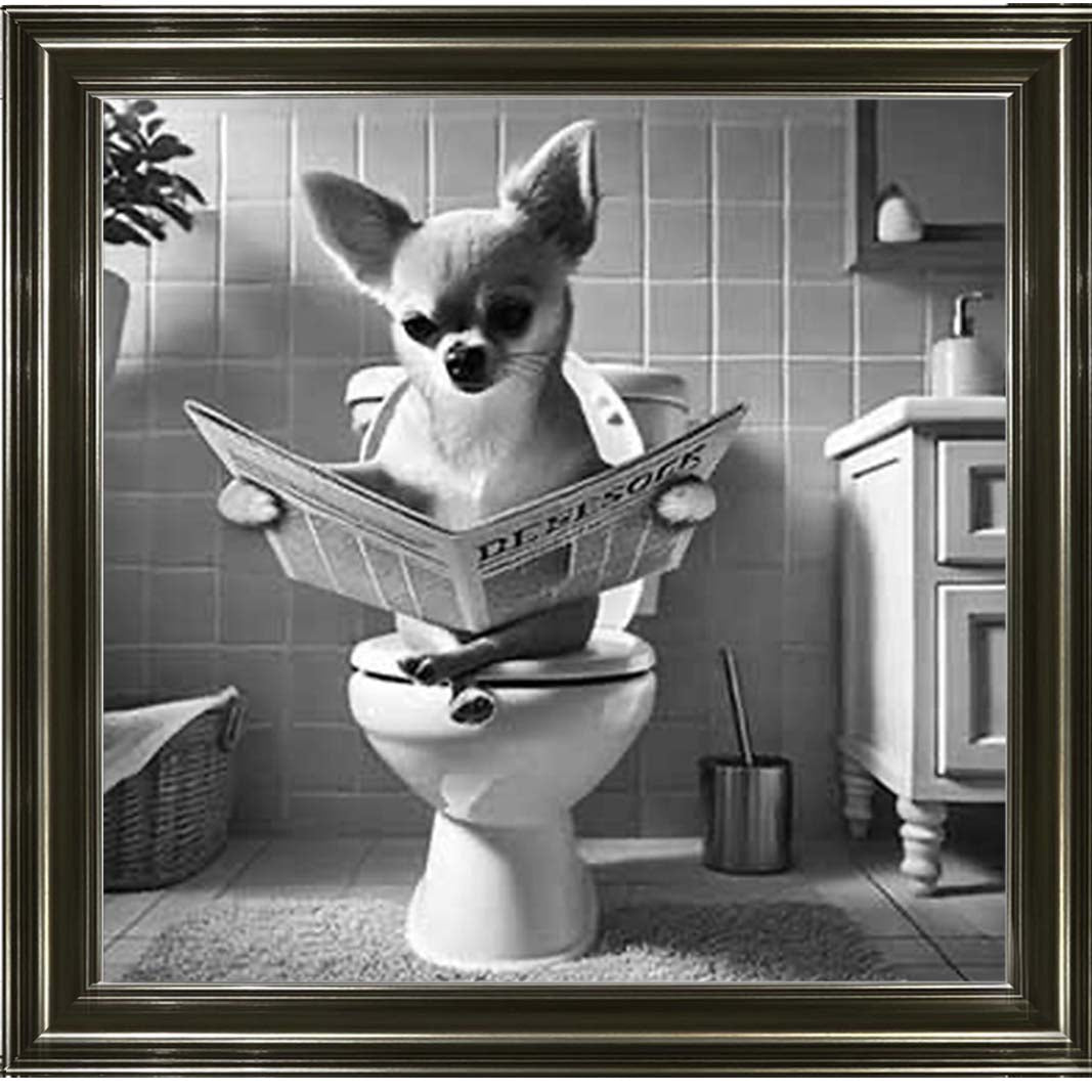 AN2209 CHIHUAHUA ON THE TOILET