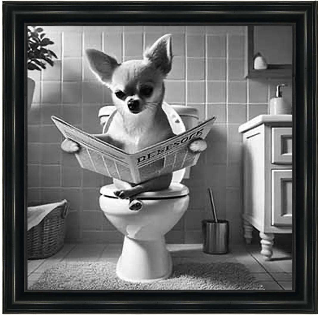 AN2209 CHIHUAHUA ON THE TOILET