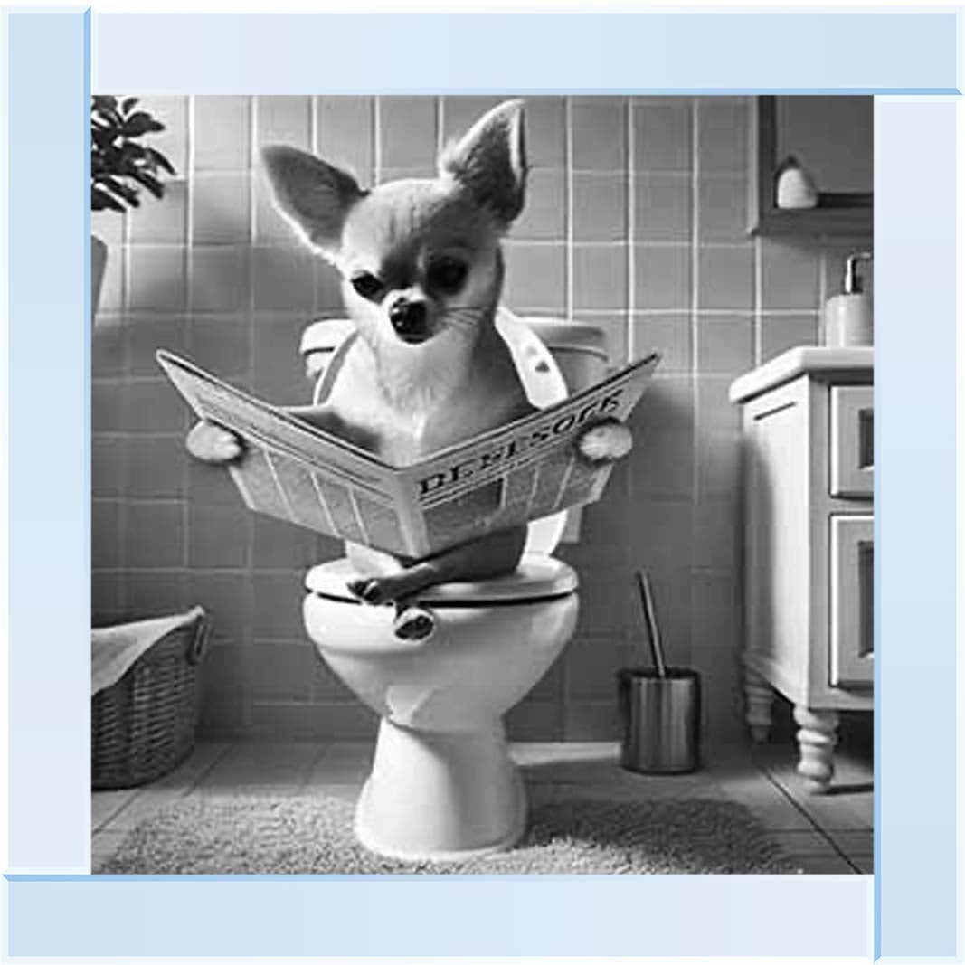 AN2209 CHIHUAHUA ON THE TOILET