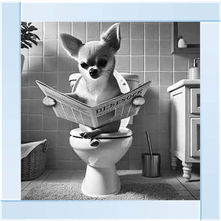 AN2209 CHIHUAHUA ON THE TOILET