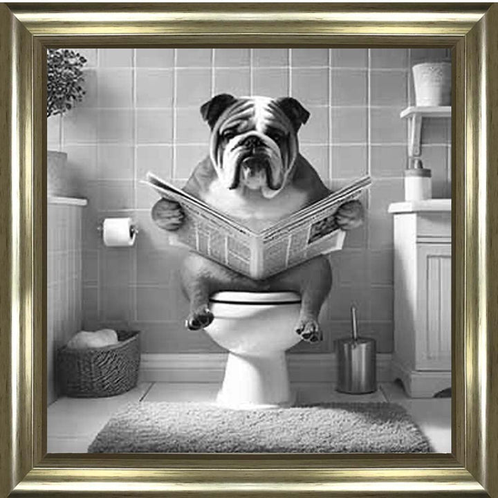 AN2210 BULLDOG ON THE TOILET
