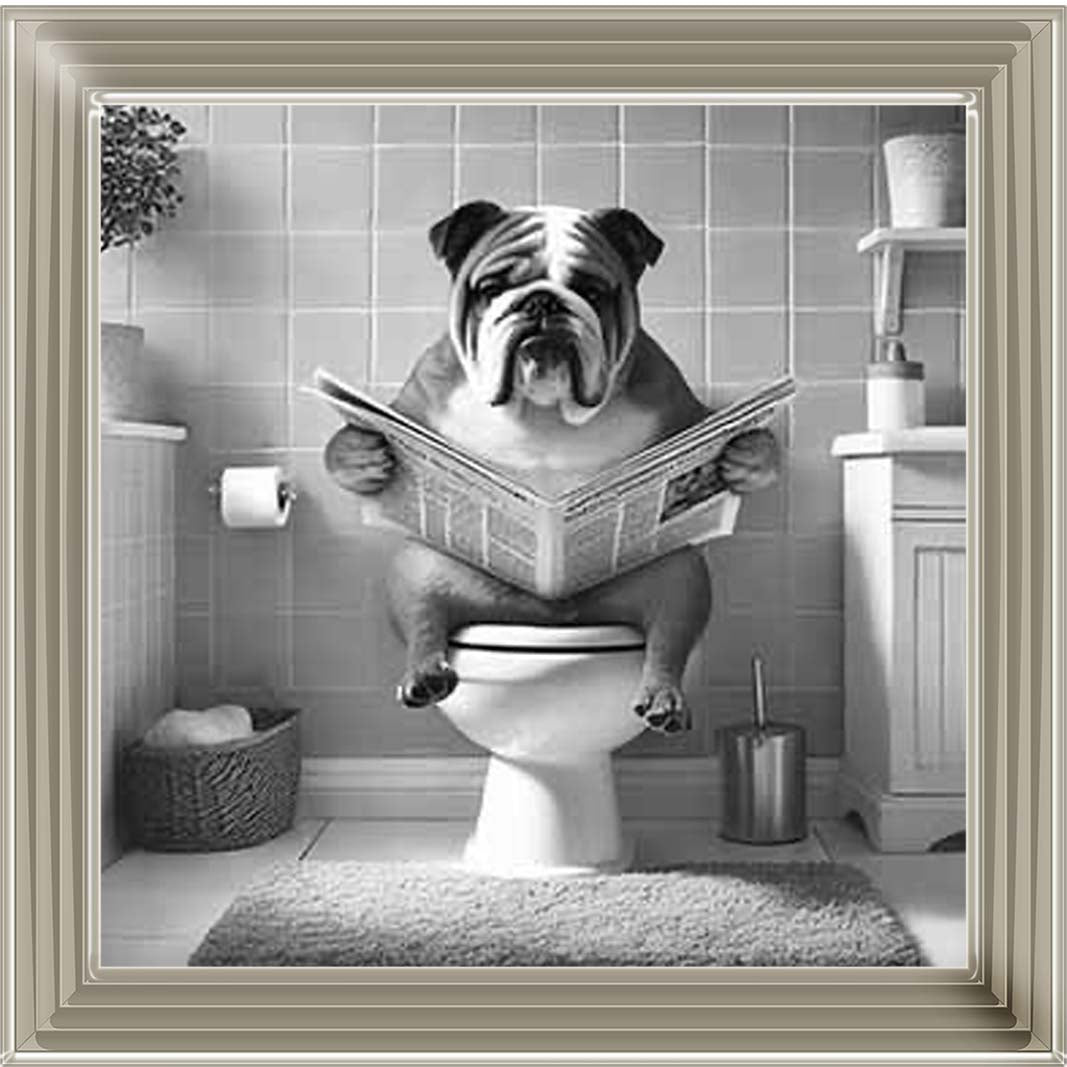 AN2210 BULLDOG ON THE TOILET