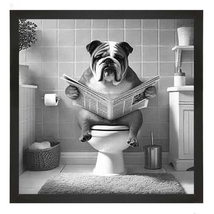 AN2210 BULLDOG ON THE TOILET