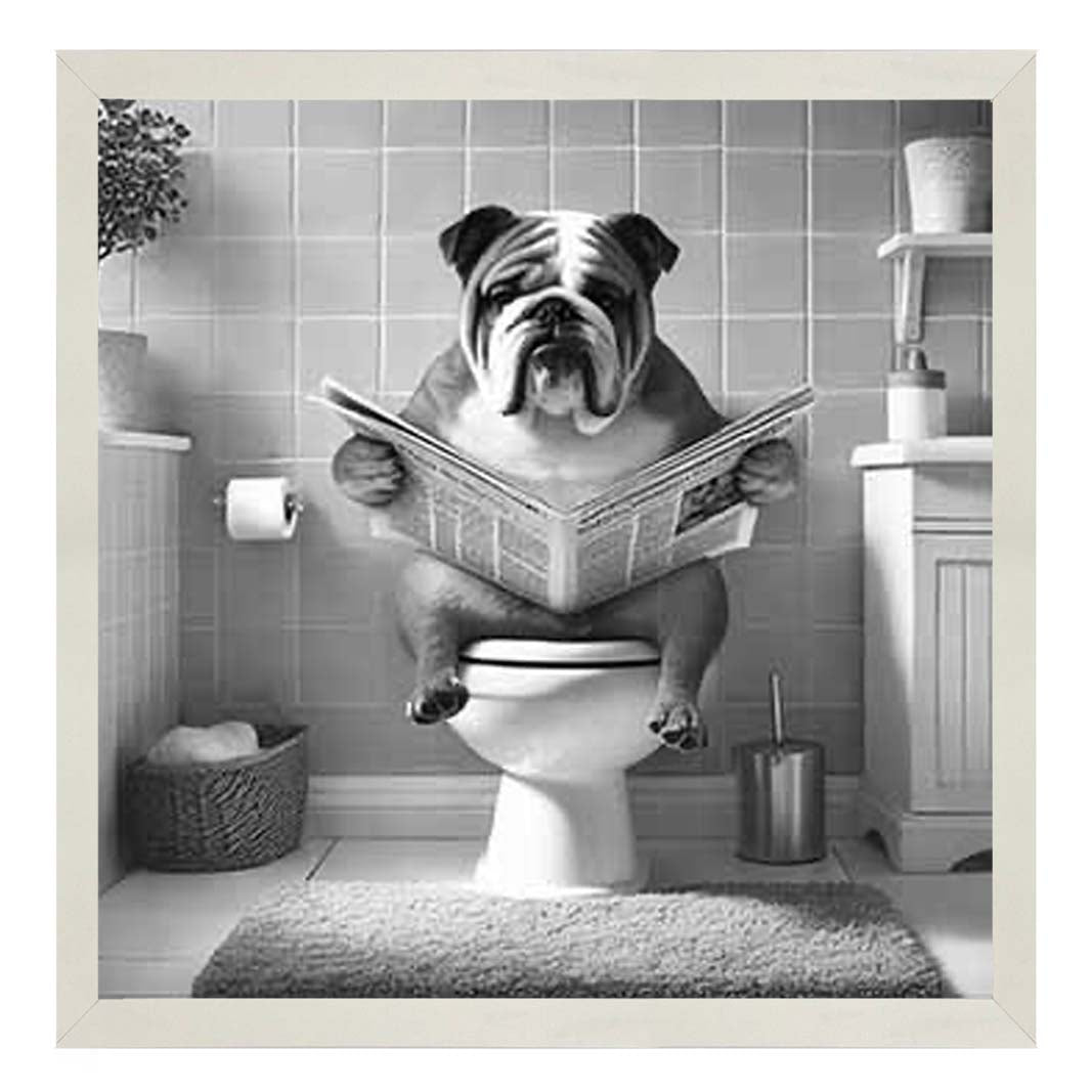 AN2211 POODLE ON THE TOILET