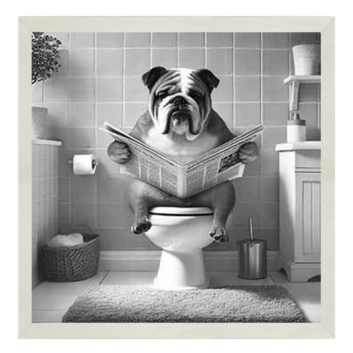AN2211 POODLE ON THE TOILET