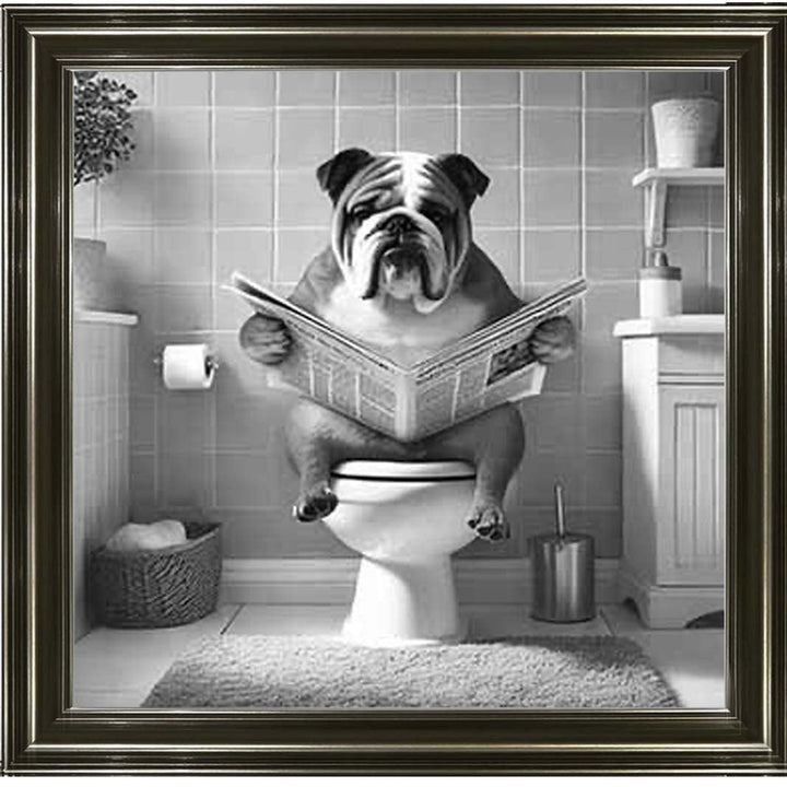 AN2210 BULLDOG ON THE TOILET