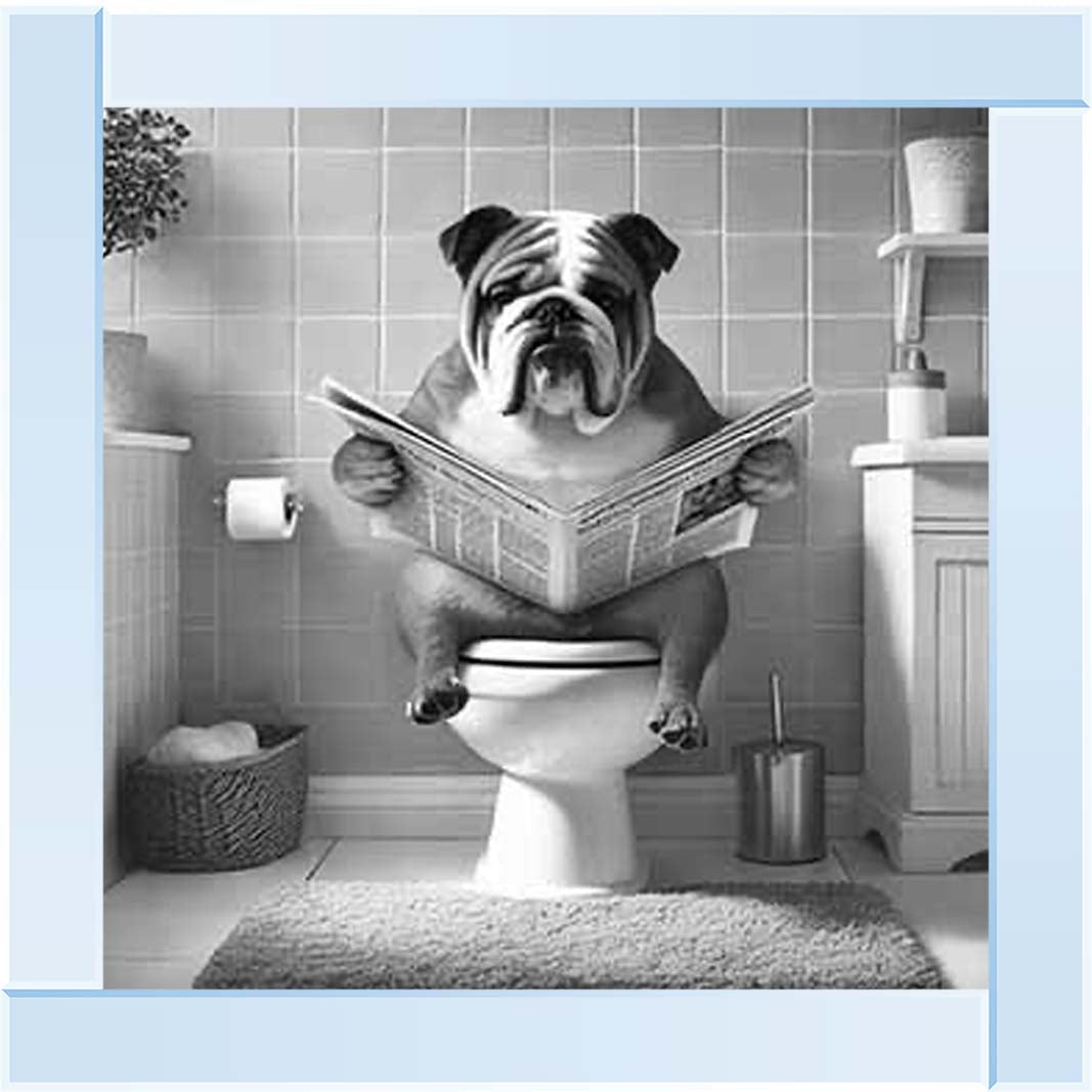AN2210 BULLDOG ON THE TOILET