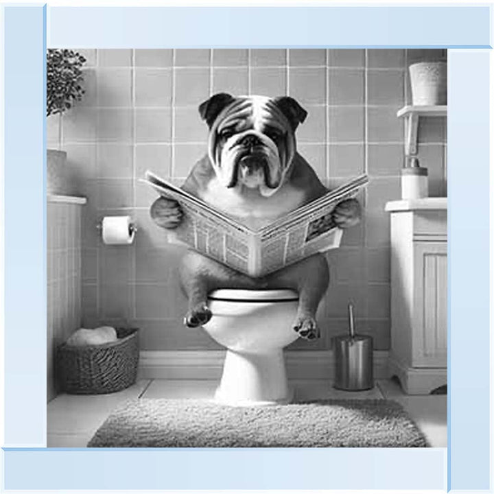AN2210 BULLDOG ON THE TOILET