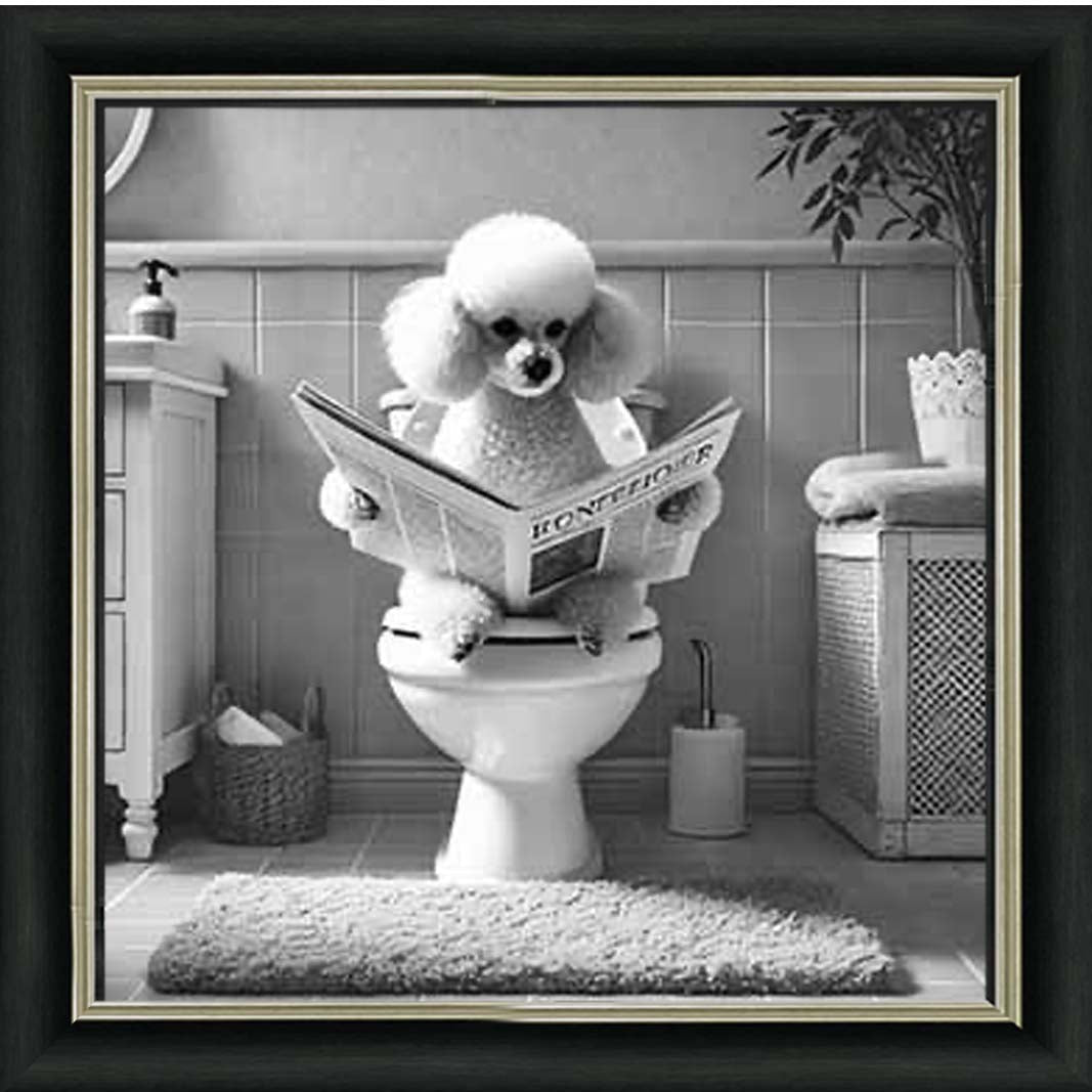 AN2211 POODLE ON THE TOILET
