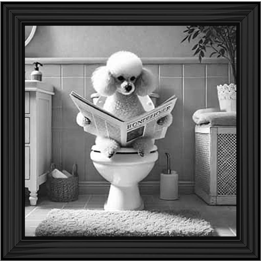 AN2211 POODLE ON THE TOILET