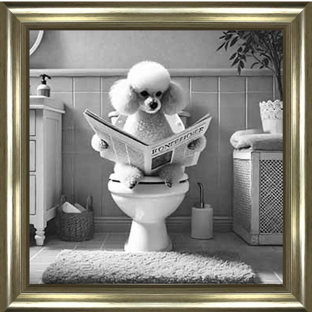 AN2211 POODLE ON THE TOILET