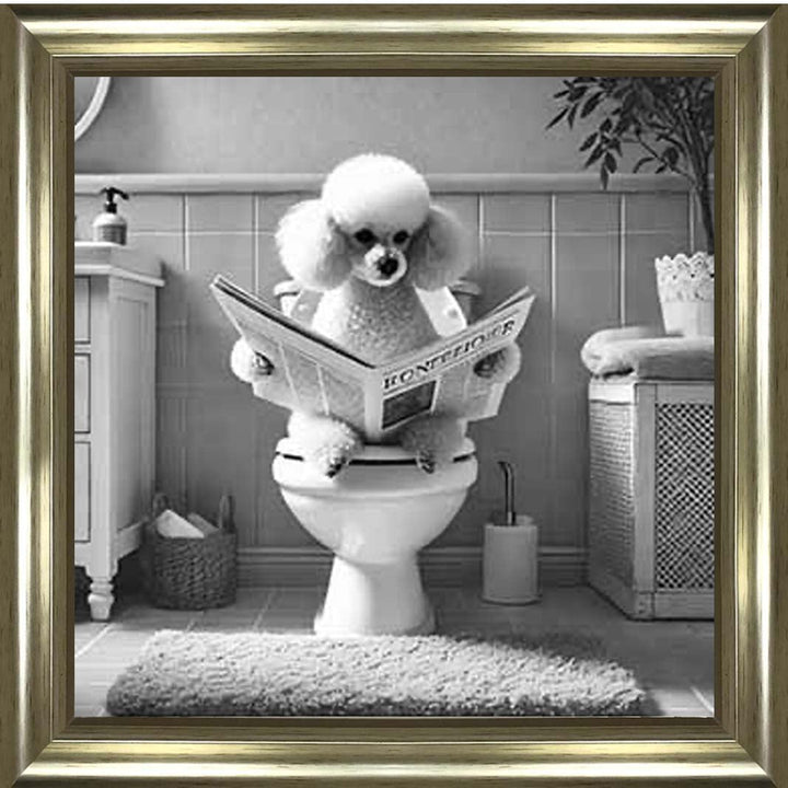 AN2211 POODLE ON THE TOILET