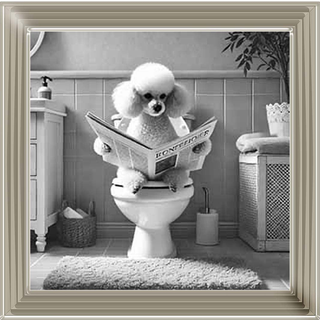AN2211 POODLE ON THE TOILET