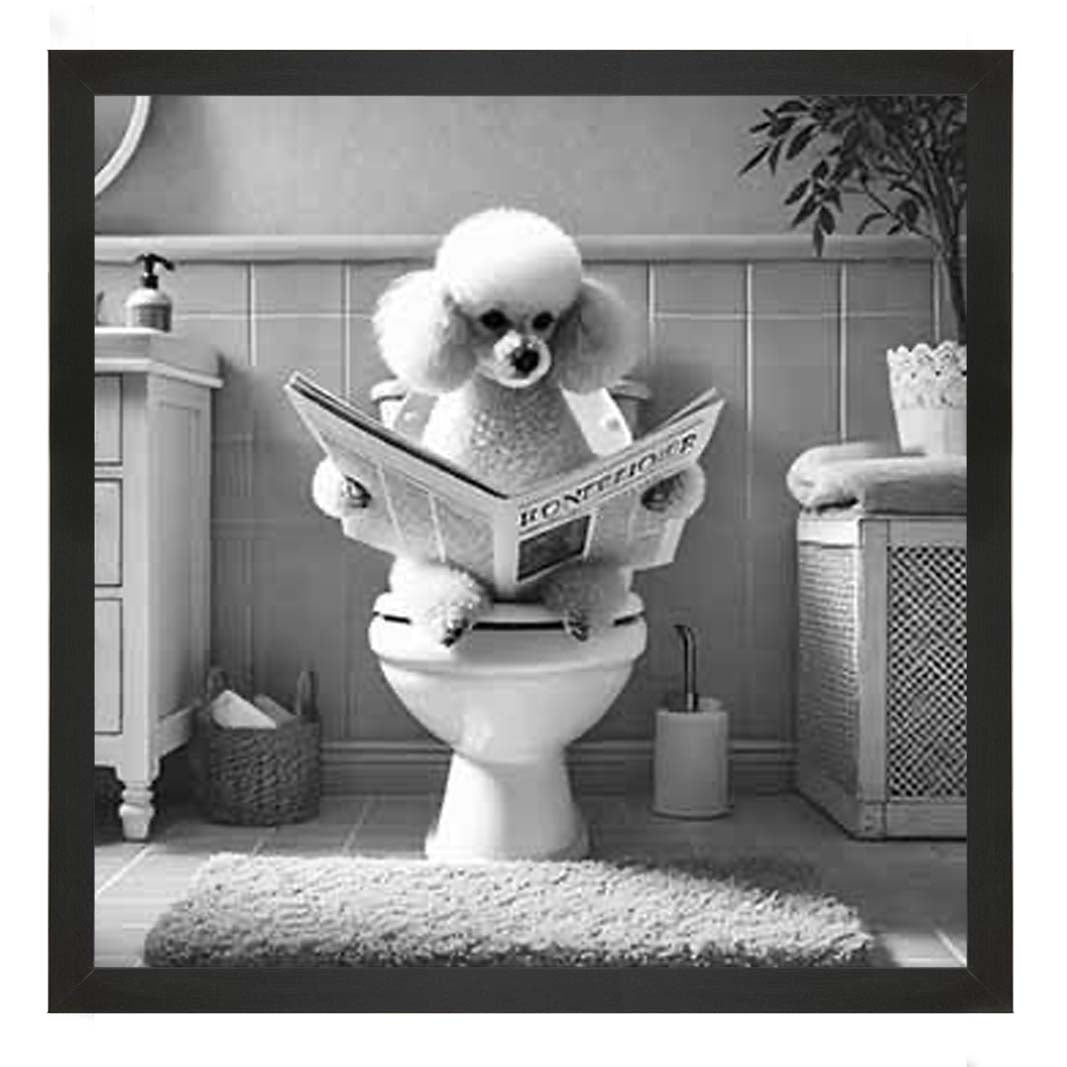 AN2211 POODLE ON THE TOILET