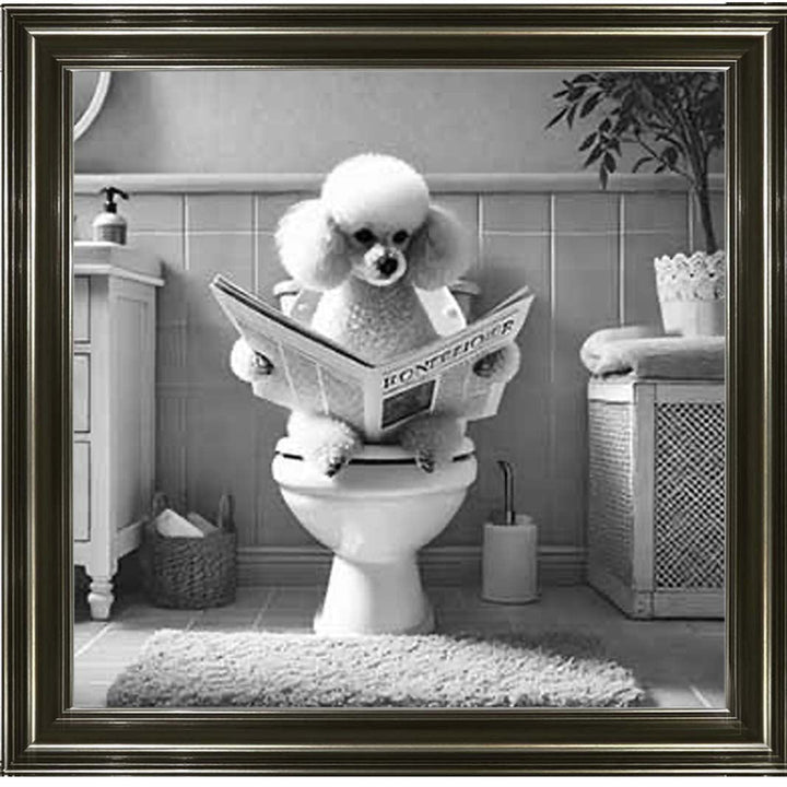 AN2211 POODLE ON THE TOILET