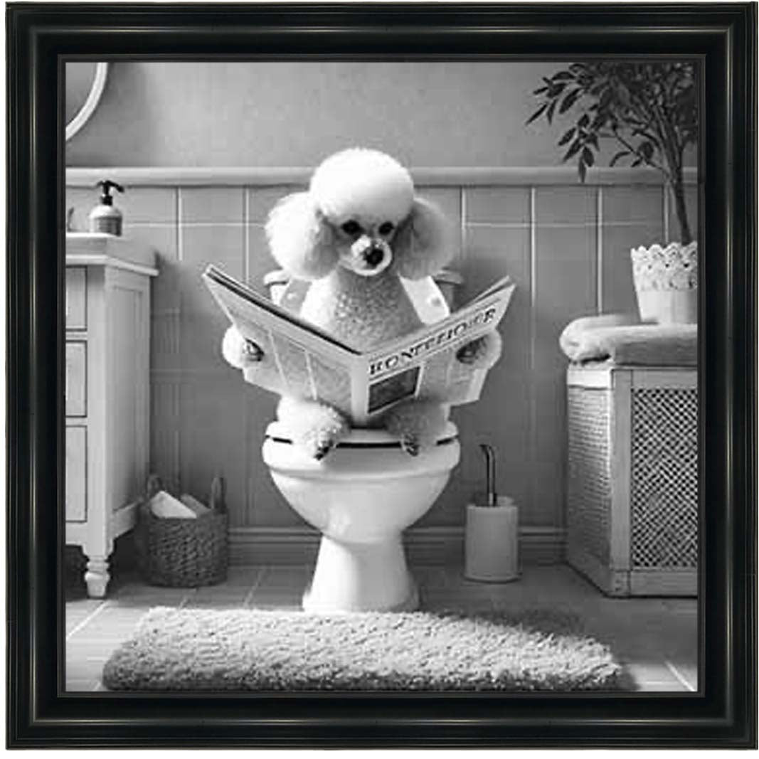 AN2211 POODLE ON THE TOILET