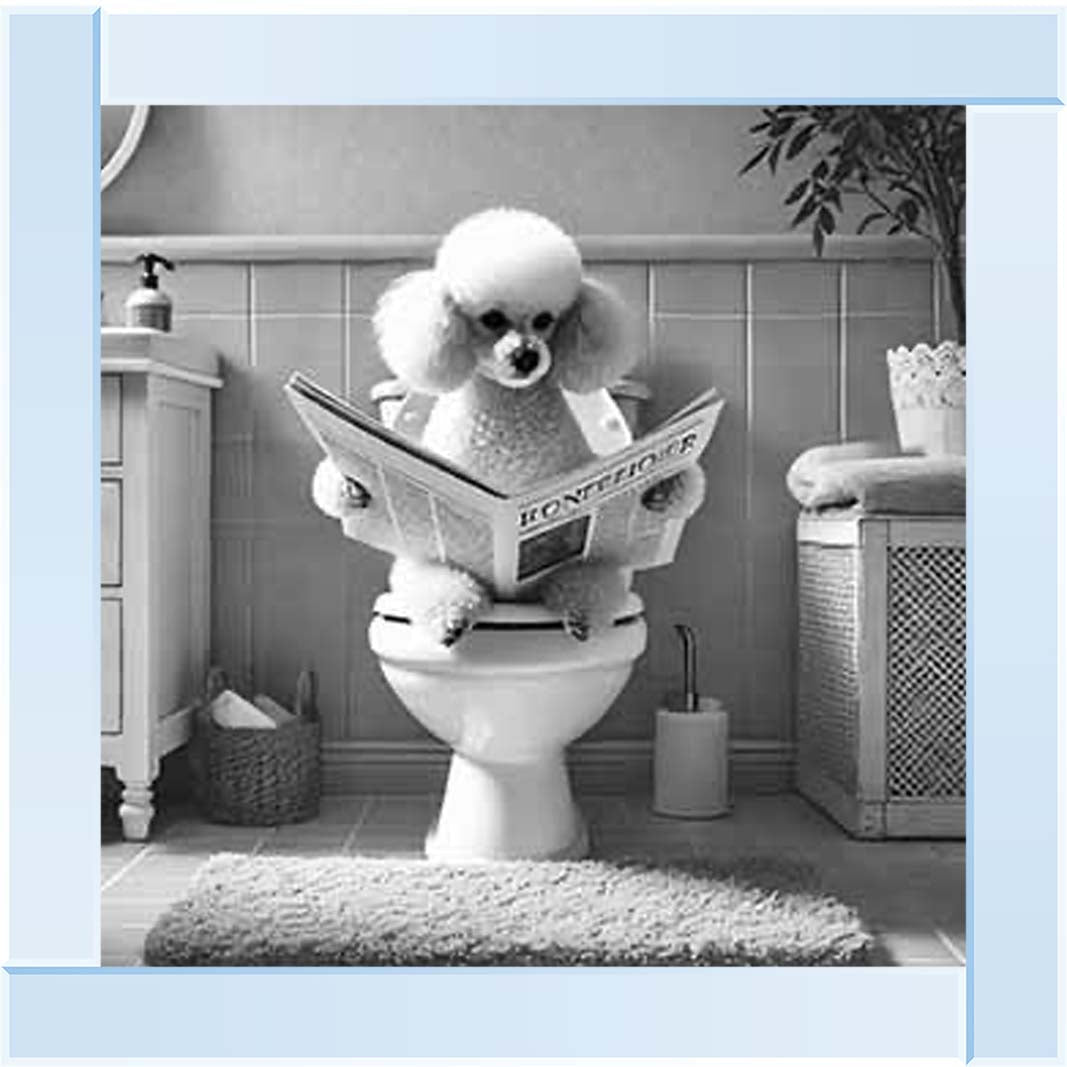 AN2211 POODLE ON THE TOILET
