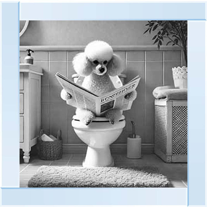 AN2211 POODLE ON THE TOILET