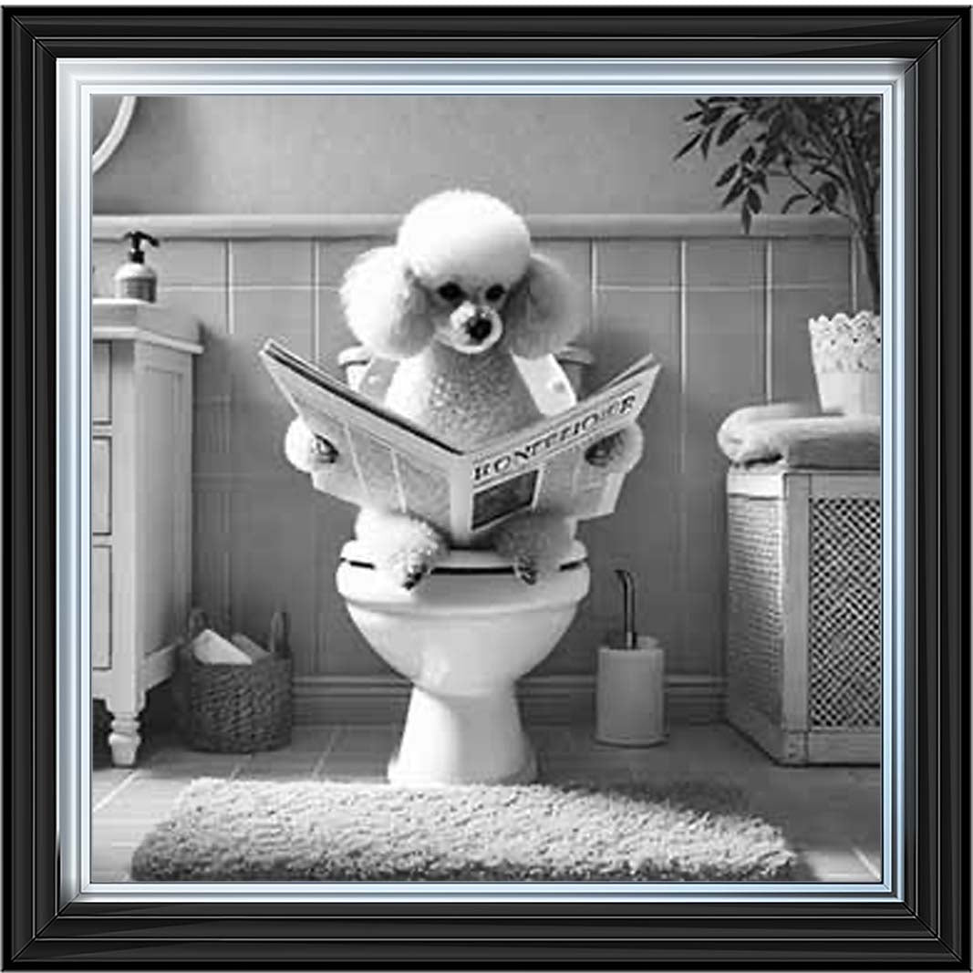 AN2211 POODLE ON THE TOILET