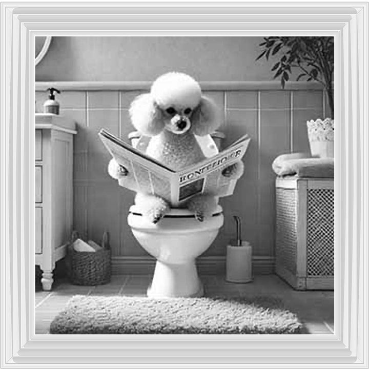 AN2211 POODLE ON THE TOILET