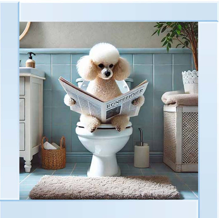AN2211-C Poodle Sitting on Toilet