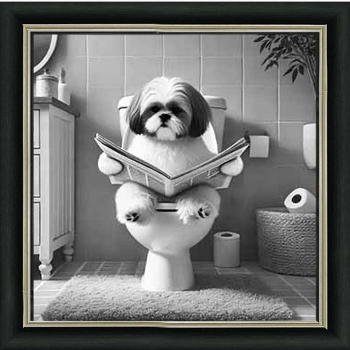 AN2212 SHIHTZU ON THE TOILET
