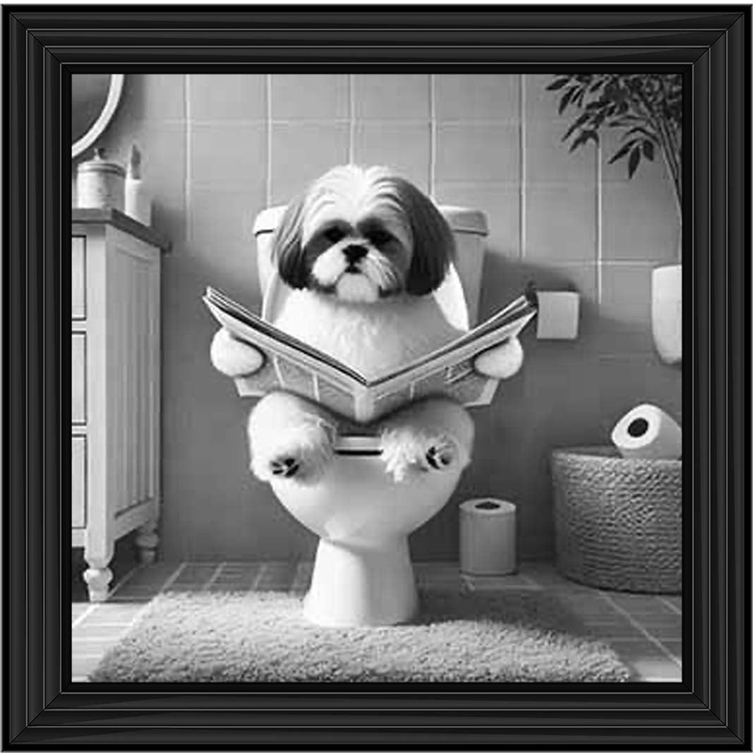 AN2212 SHIHTZU ON THE TOILET
