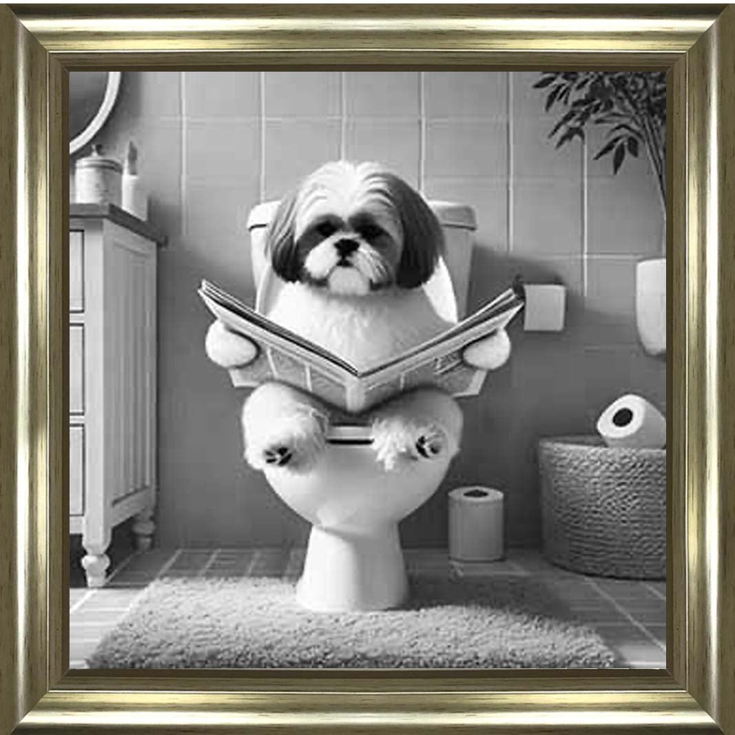 AN2212 SHIHTZU ON THE TOILET