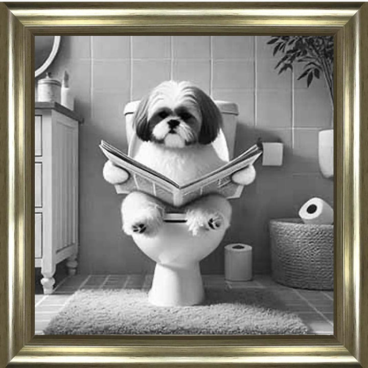 AN2212 SHIHTZU ON THE TOILET