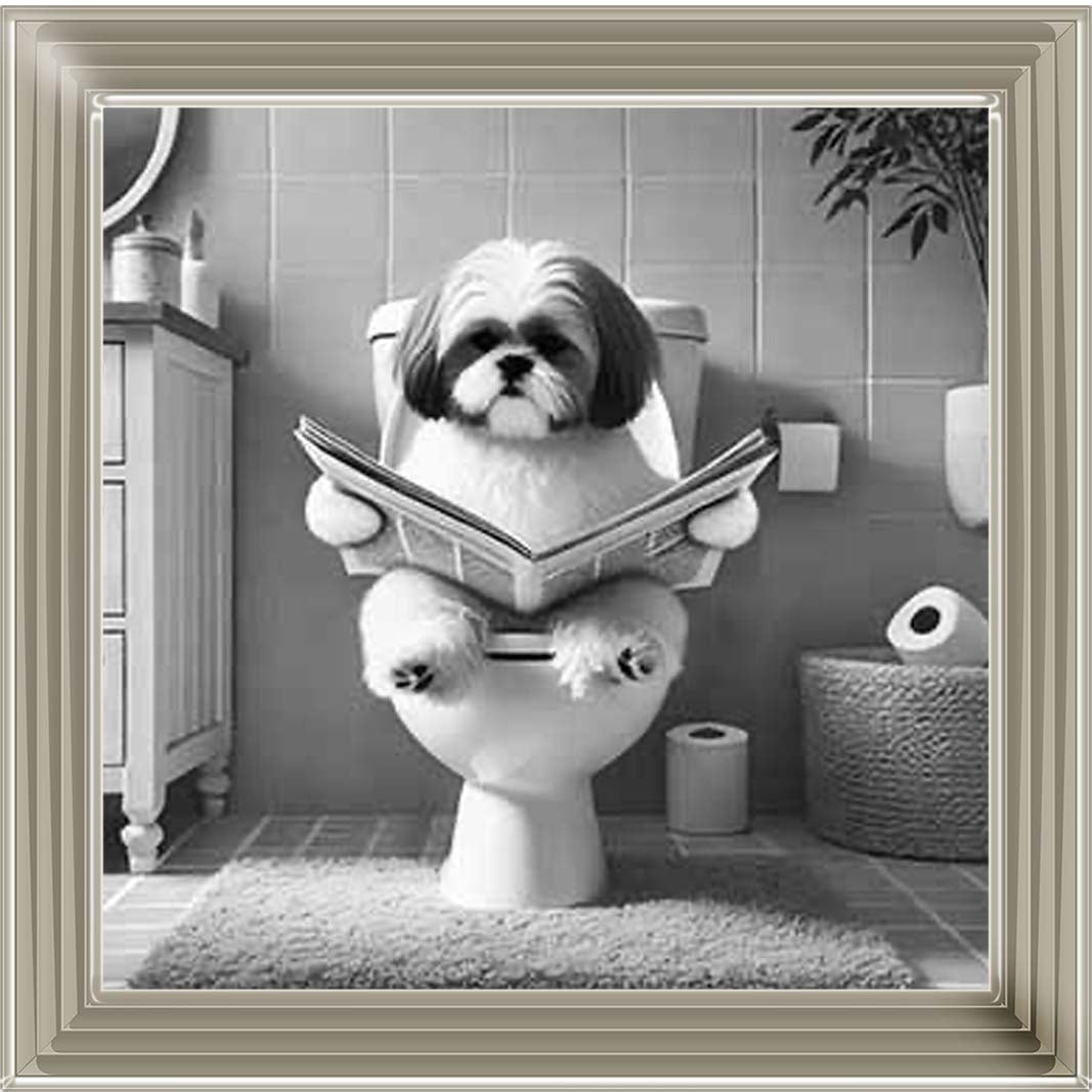 AN2212 SHIHTZU ON THE TOILET