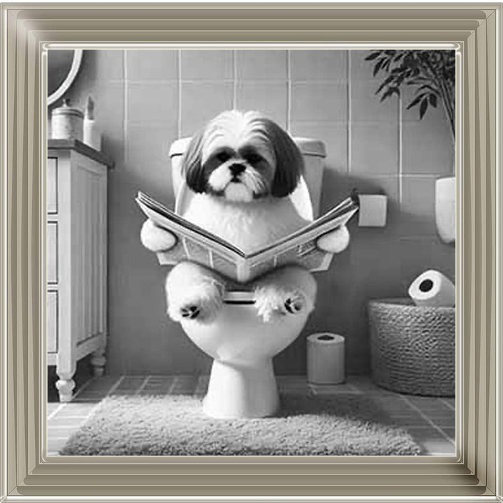 AN2212 SHIHTZU ON THE TOILET