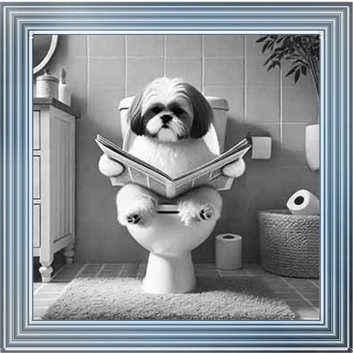 AN2212 SHIHTZU ON THE TOILET