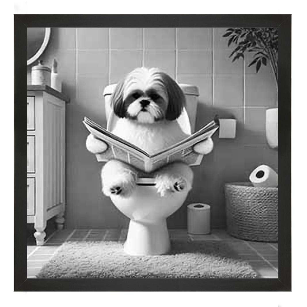 AN2212 SHIHTZU ON THE TOILET