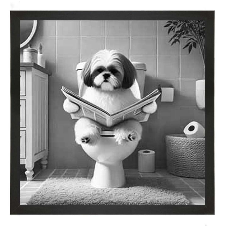 AN2212 SHIHTZU ON THE TOILET
