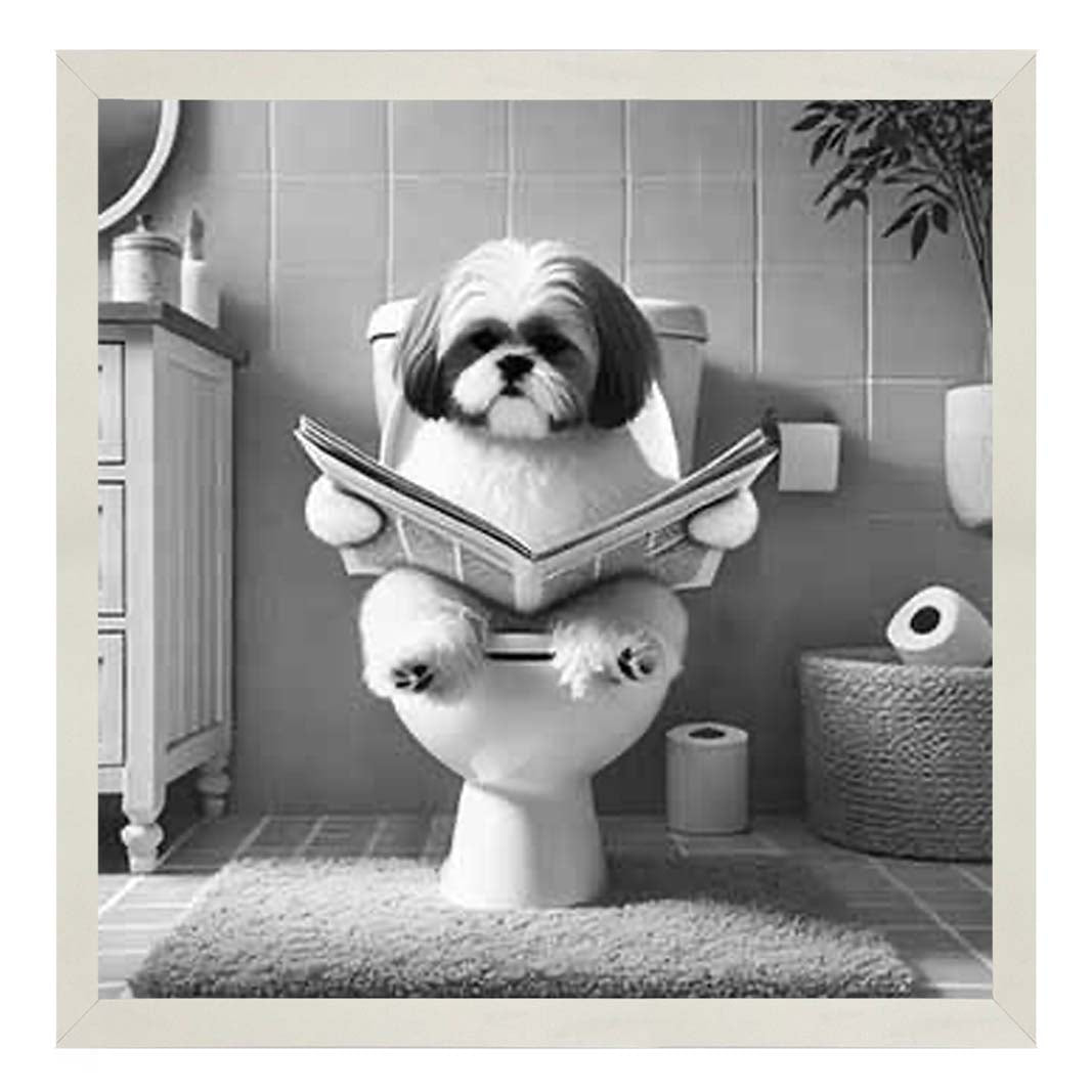 AN2212 SHIHTZU ON THE TOILET
