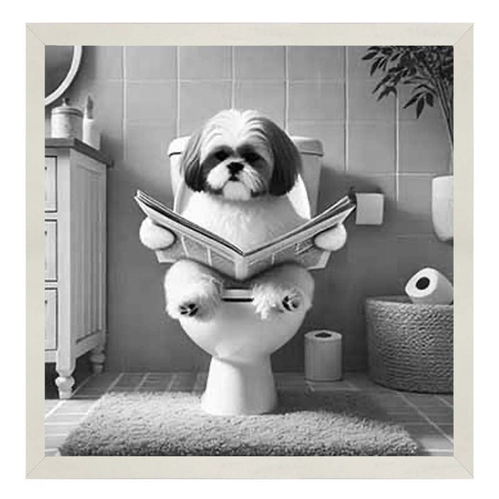 AN2212 SHIHTZU ON THE TOILET