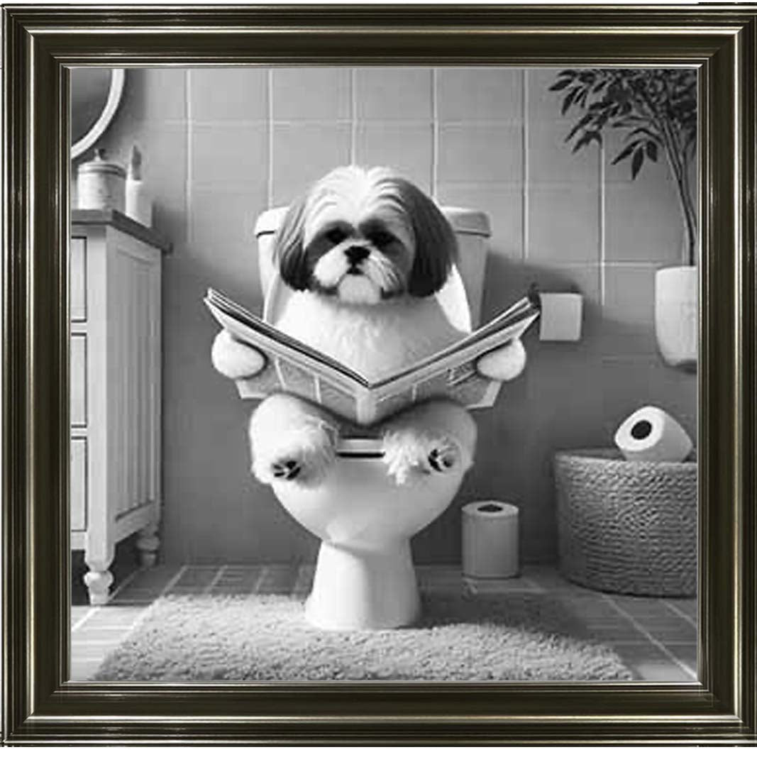 AN2212 SHIHTZU ON THE TOILET