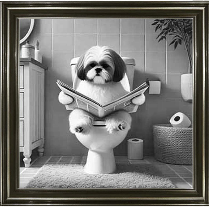 AN2212 SHIHTZU ON THE TOILET